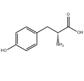 D-tyrosine CAS#556-02-5