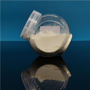 Natamycin CAS#7681-93-8